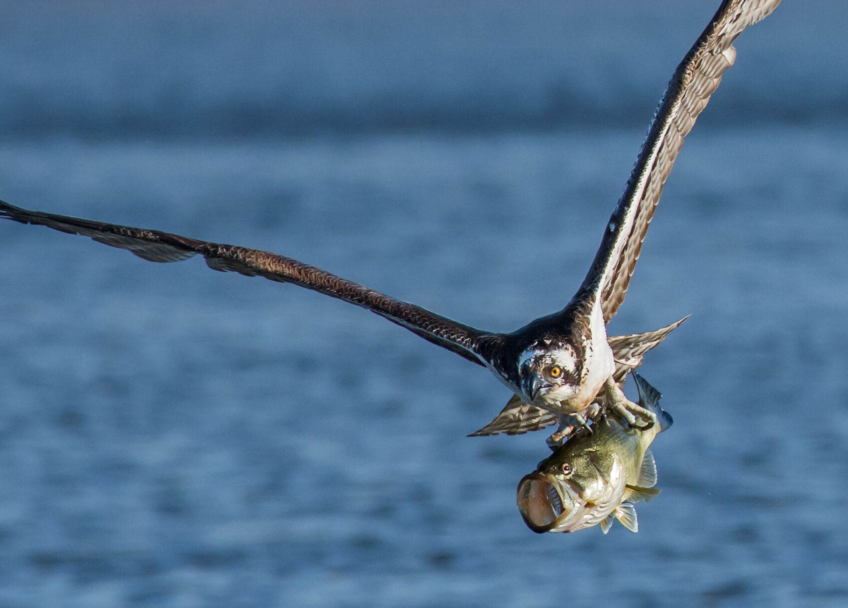 Cullinan Park photo contest